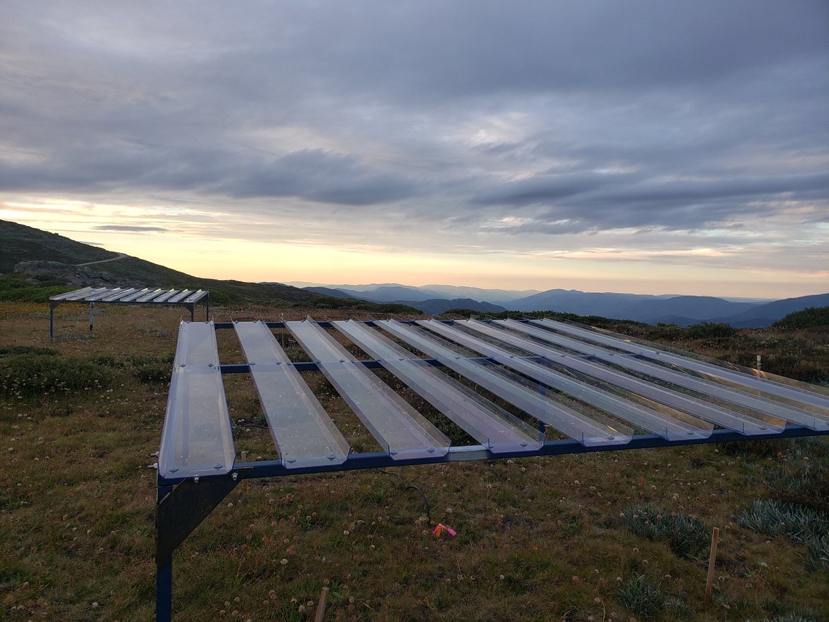 AustMountResFac tweet media