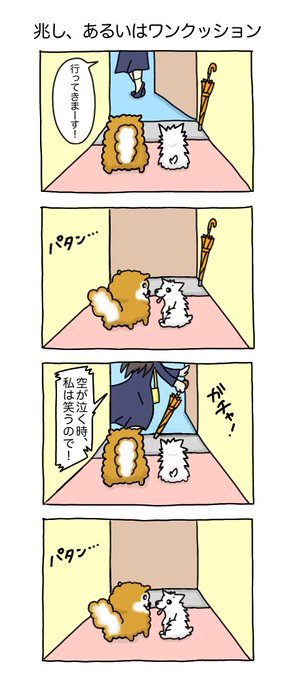兆し、あるいはワンクッション #コンしら 