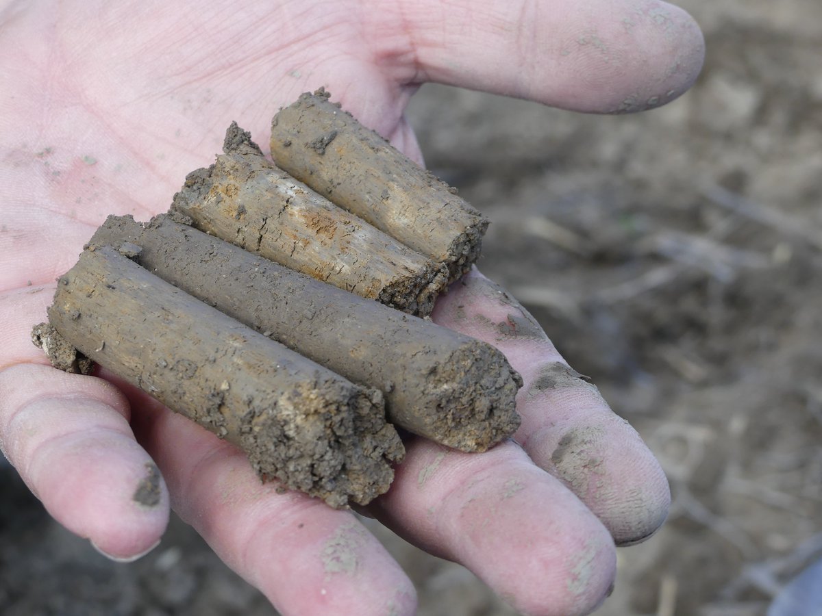 IngridSmet_geo's tweet image. Getting into soil science! (Who would have thought?) The soil profile of the field for our 2021 EW experiments showed it to be very clay rich - this area used to be a lake - and with a high water table. So both pros & cons... #Fieldcode #ProjectCarbdown #EW #CDR #GGR