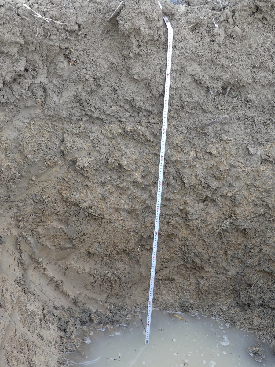 IngridSmet_geo's tweet image. Getting into soil science! (Who would have thought?) The soil profile of the field for our 2021 EW experiments showed it to be very clay rich - this area used to be a lake - and with a high water table. So both pros & cons... #Fieldcode #ProjectCarbdown #EW #CDR #GGR