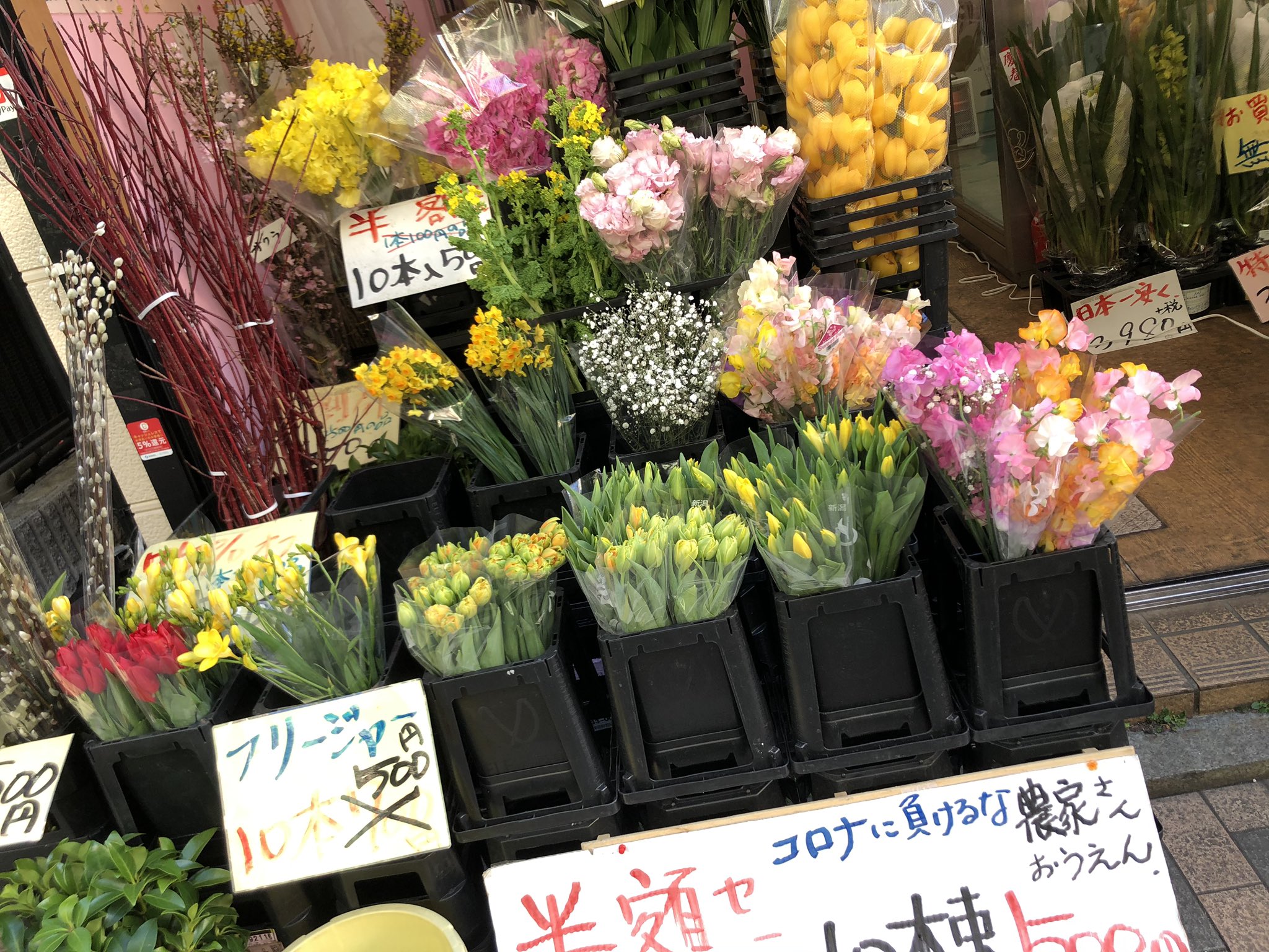 安い花屋 Twitter Search Twitter