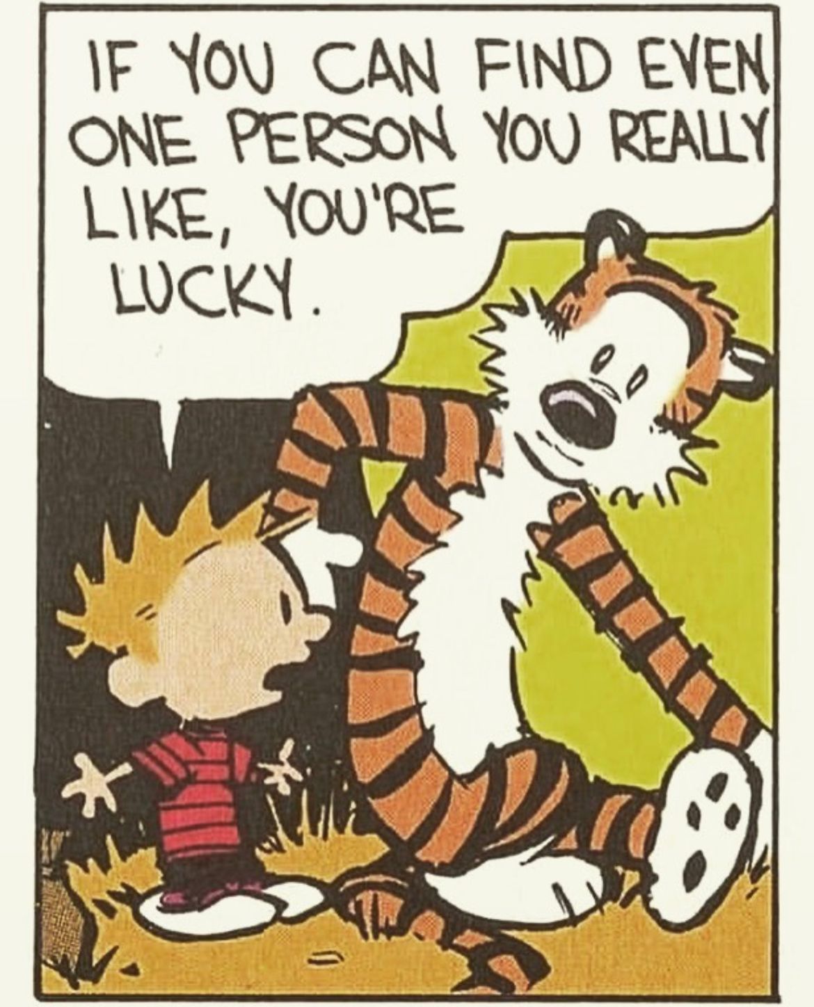 calvin and hobbes quotes on love