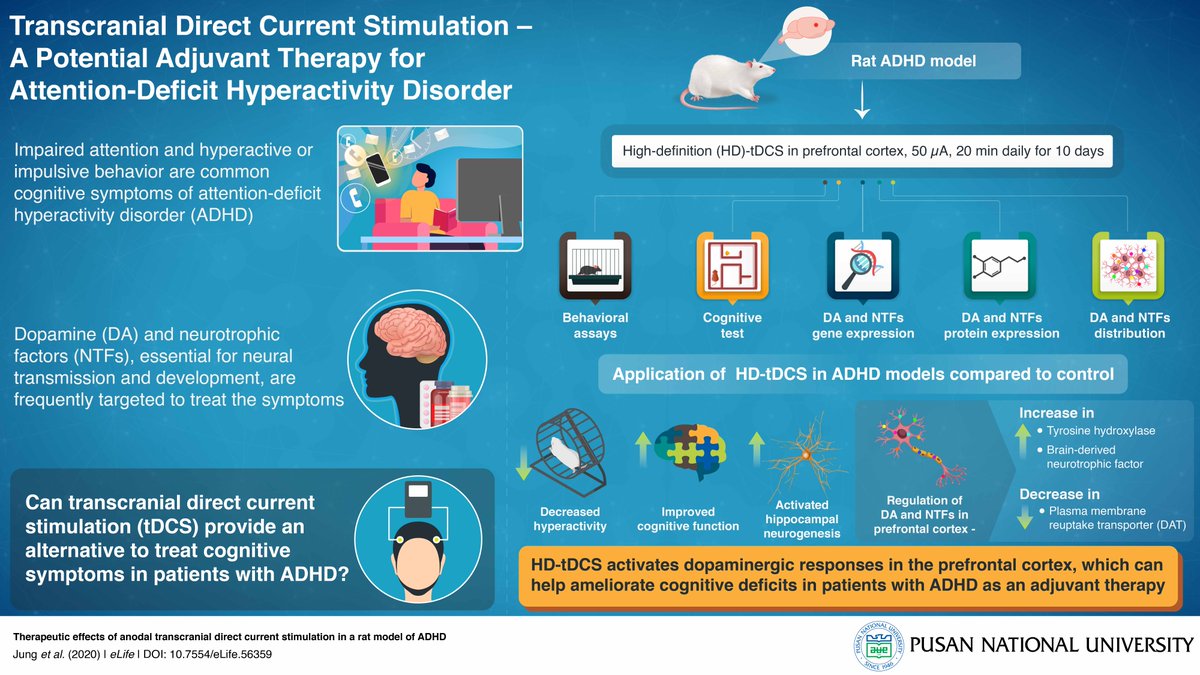 Pusan National University (@pusanuni) on Twitter photo In a new study in eLife, researchers from <a href="/PNU_Intl/">PNU International</a> explore the use of #transcranial direct #current #stimulation as a potential #adjuvant #therapy for #ADHD.
Read their findings here: ow.ly/3m1F50DoQZ0 In a new study in eLife, researchers from <a href="/PNU_Intl/">PNU International</a> explore the use of #transcranial direct #current #stimulation as a potential #adjuvant #therapy for #ADHD.
Read their findings here: ow.ly/3m1F50DoQZ0