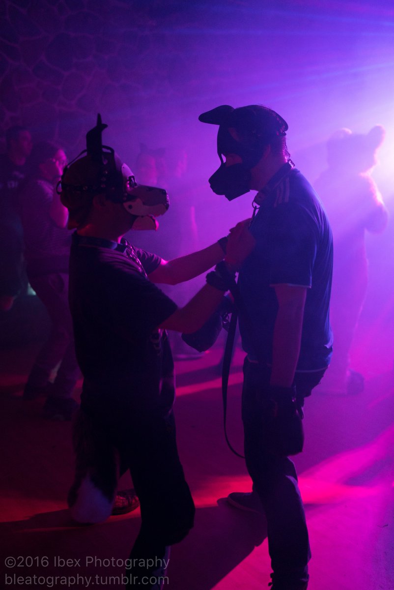 Damn, where would the fandom be without <a href="/Sifuri_Ibex/">Severe Headbutts</a> 's bleatography? Thank you so much for everything that you do, bleat bleat! 💗🐐 
Photos of <a href="/damianfoxx/">Damian</a> &amp; I at "Night of the Living Dead Dogs" 2016 🐺💞🦊