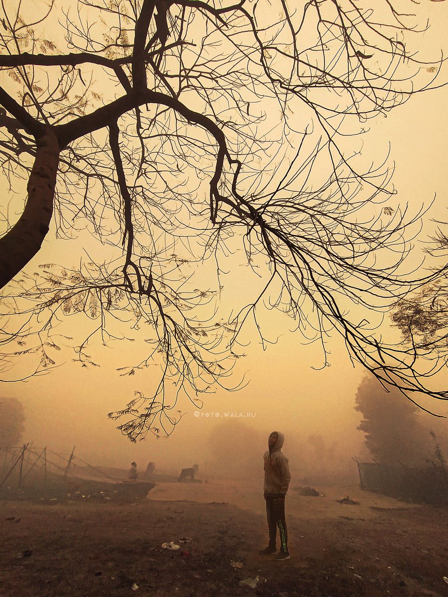 Foto_wala_hu's tweet image. Man walk alone public domain 🚶
-
- 
-
shot on @Xiaomi
@XiaomiIndia
- #ShotonMia3 #xiaomiindia
- use - #foto_wala_hu