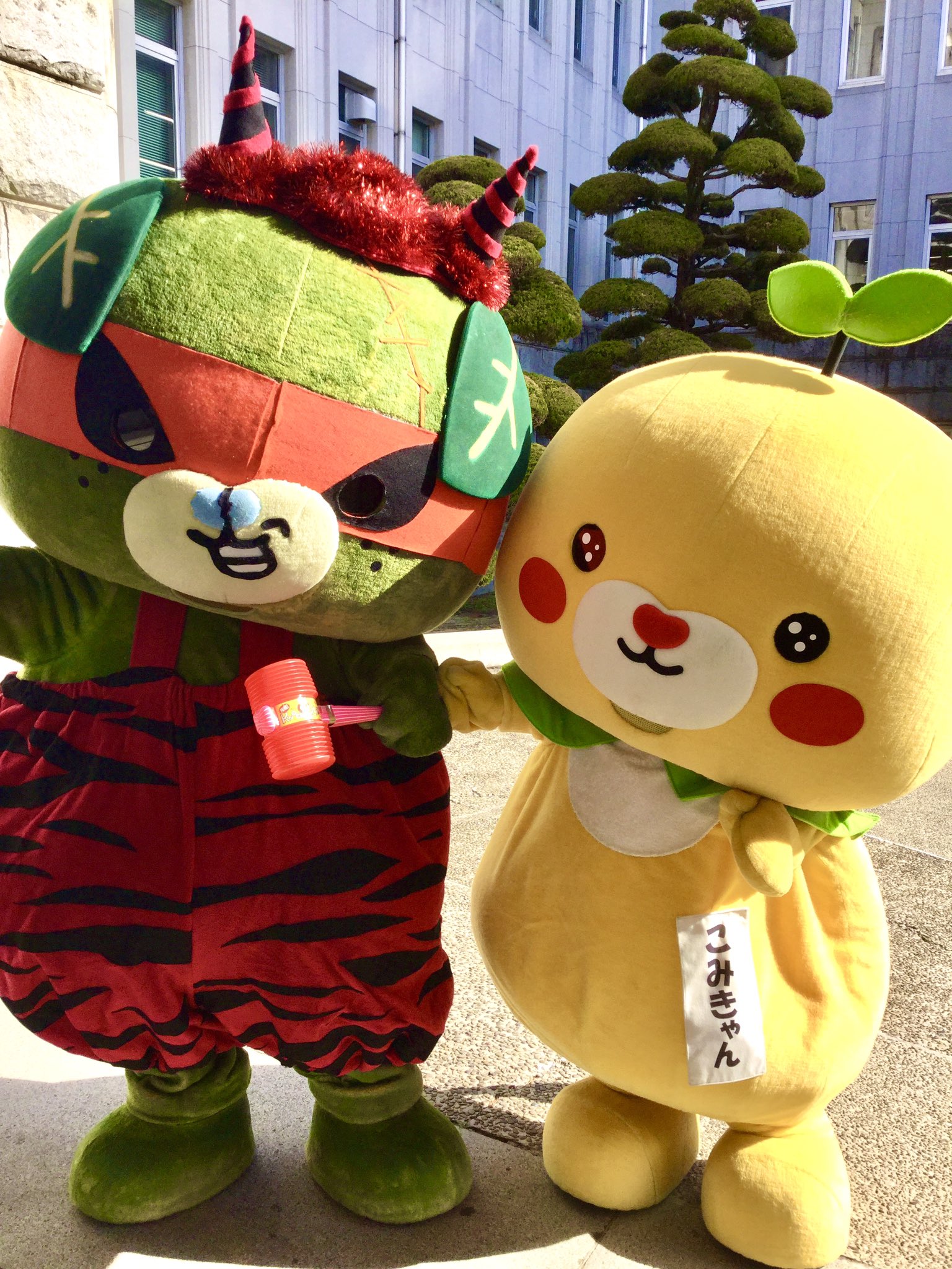 こみきゃん 公式 愛媛県 Uchinokomican Twitter