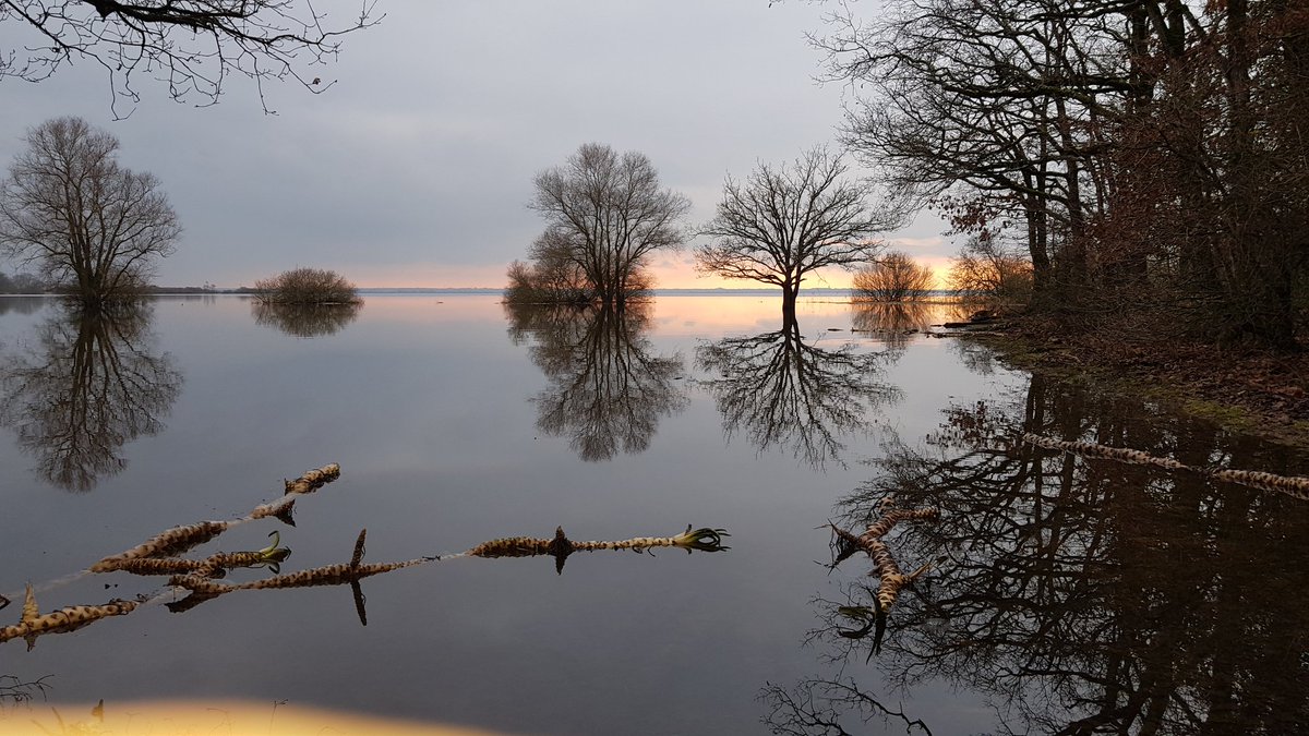 GARREAULOUP's tweet photo. Lac de grand #Ramsar , https://t.co/qr3UlwCJ5M
