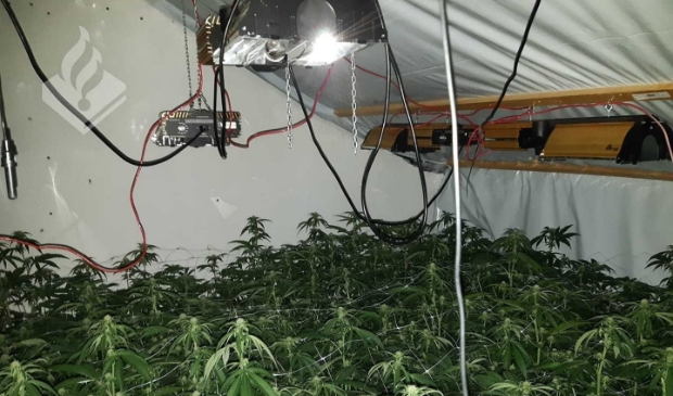 Politie stuit op hennepkwekerijen - ..