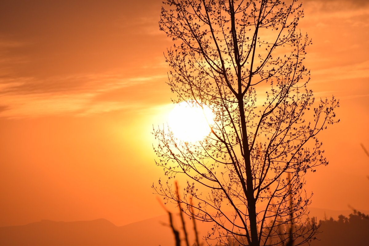 uzairshowkat's tweet photo. Look deep into nature, and then you will understand everything better.
#nature #photography #naturephotography #love #photooftheday #travel #picoftheday #photo #like #landscape #follow #naturelovers #happy #bhfyp #style #instadaily #travelphotography #photographer #sunset #bhfyp https://t.co/7nVldlErRU