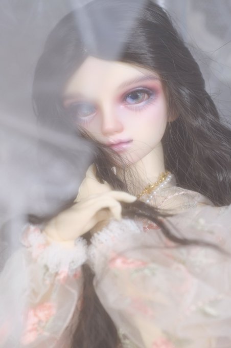 Colli 高画質 のtwitterイラスト検索結果 古い順