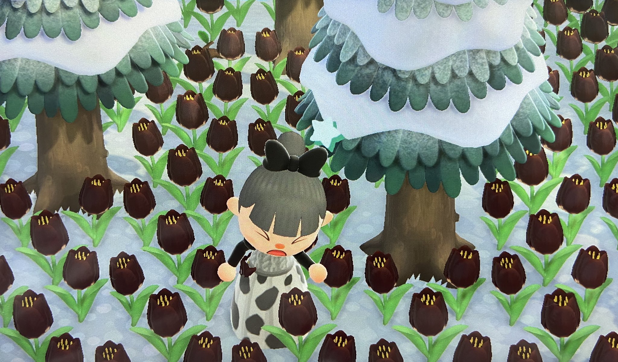 𝑪𝒐𝒓𝒐𝒏 Tos あつ森 再募集 くろいチューリップ が増えすぎてしまったので 求めてる方もらって頂けたらありがたいです 条件 女性限定ꔛ ゚ 交換は無し 無償です 黒いチューリップ あつ森 あつまれどうぶつの森 T Co 4egzunpajy 𝑪𝒐𝒓𝒐𝒏 Tos あつ森 再募集 くろいチューリップ が増えすぎてしまったので 求めてる方もらって頂けたらありがたいです 条件 女性限定ꔛ ゚ 交換は無し 無償です 黒いチューリップ あつ森 あつまれどうぶつの森 T Co 4egzunpajy