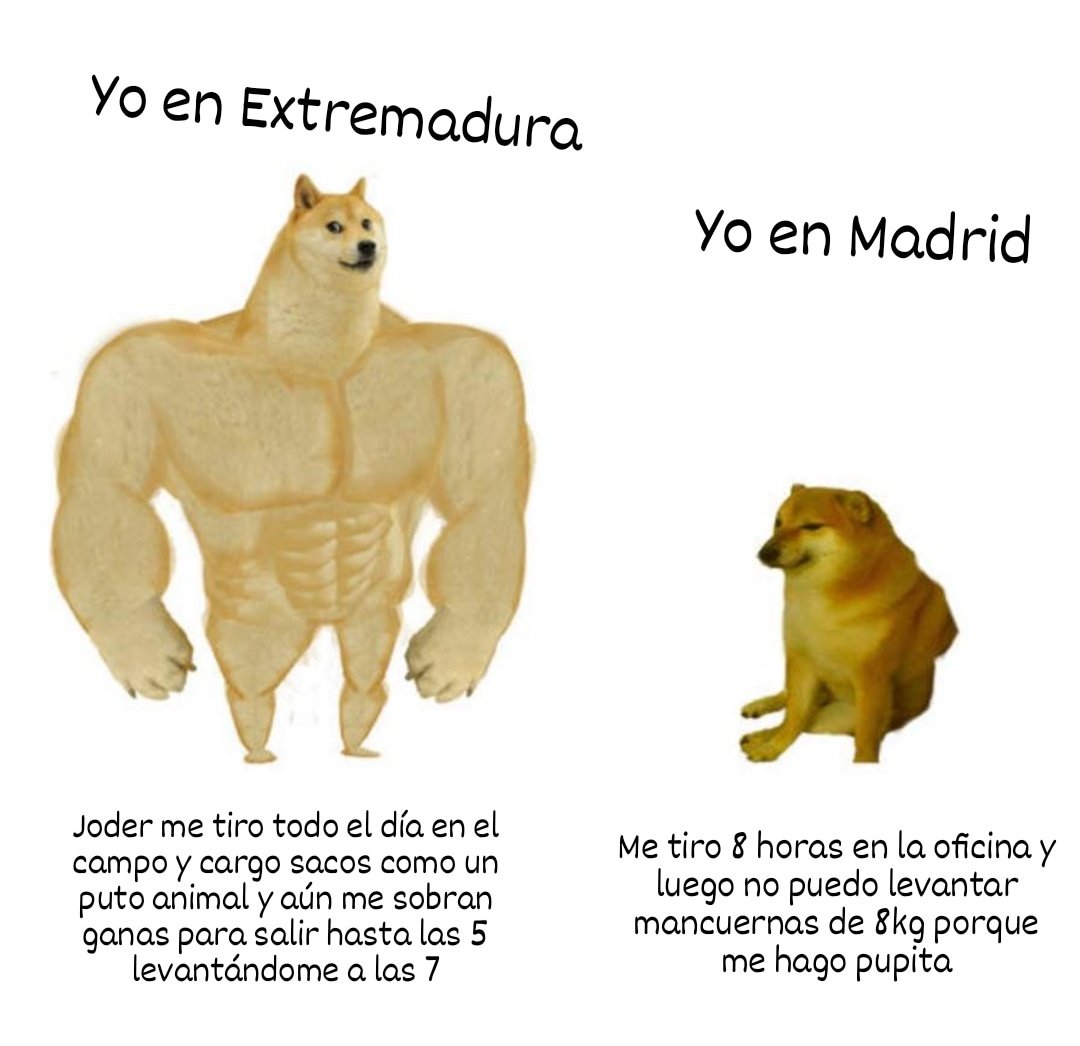 Cualquier parecido con la realidad es... Cierto.