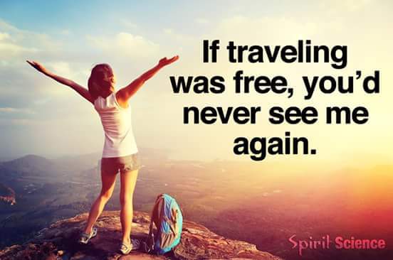 Springbokwalker's tweet image. 