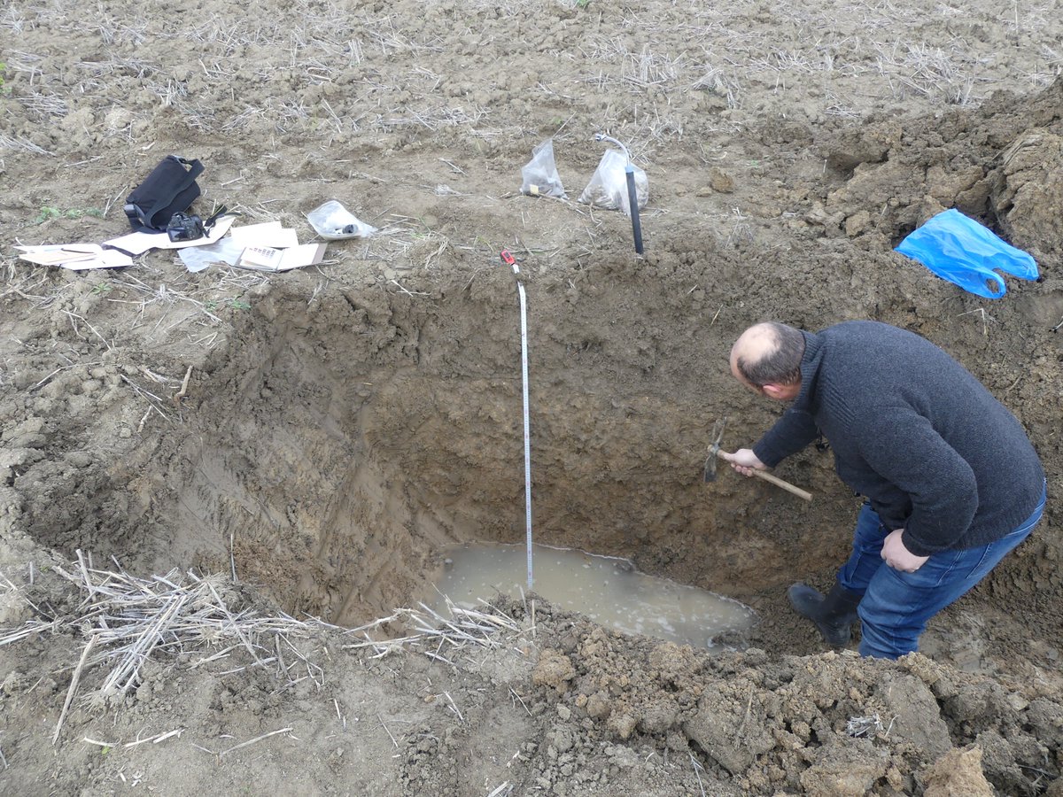 IngridSmet_geo's tweet image. Getting into soil science! (Who would have thought?) The soil profile of the field for our 2021 EW experiments showed it to be very clay rich - this area used to be a lake - and with a high water table. So both pros & cons... #Fieldcode #ProjectCarbdown #EW #CDR #GGR