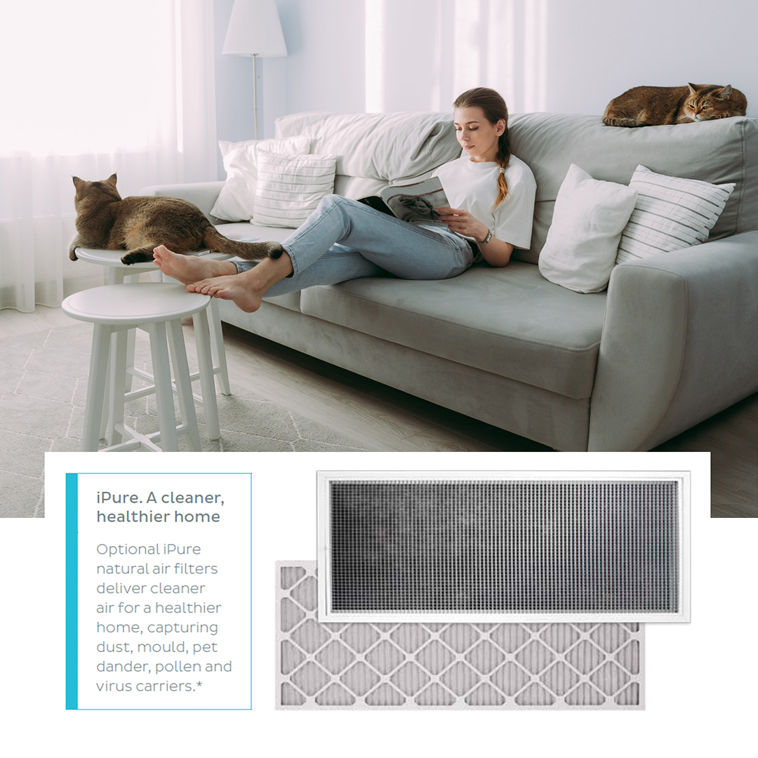 iZoneSmartHome's tweet photo. Did you know our iPure natural air filters deliver cleaner air for a healthier home – capturing dust, mould, pet dander, pollen and virus carriers? Keep the air in your house clean and free with an iZone air conditioning system. 

https://t.co/0SE7spJI5Z https://t.co/z5pq26oGqX