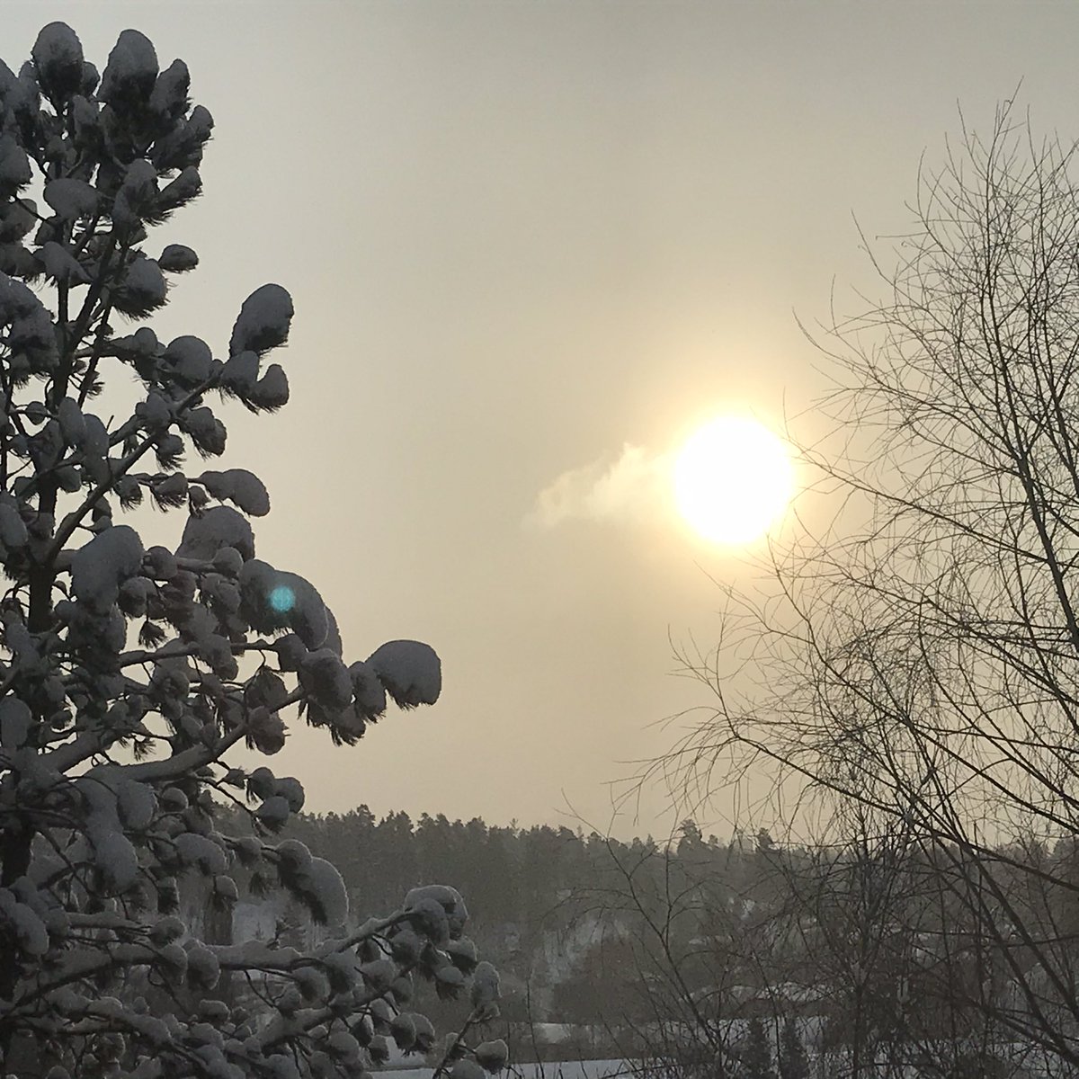 ElisaTikkanen's tweet photo. Valon nimipäivänä hän suvaitsee näyttäytyä. #ColdWhiteLight https://t.co/82xOEDEzk8