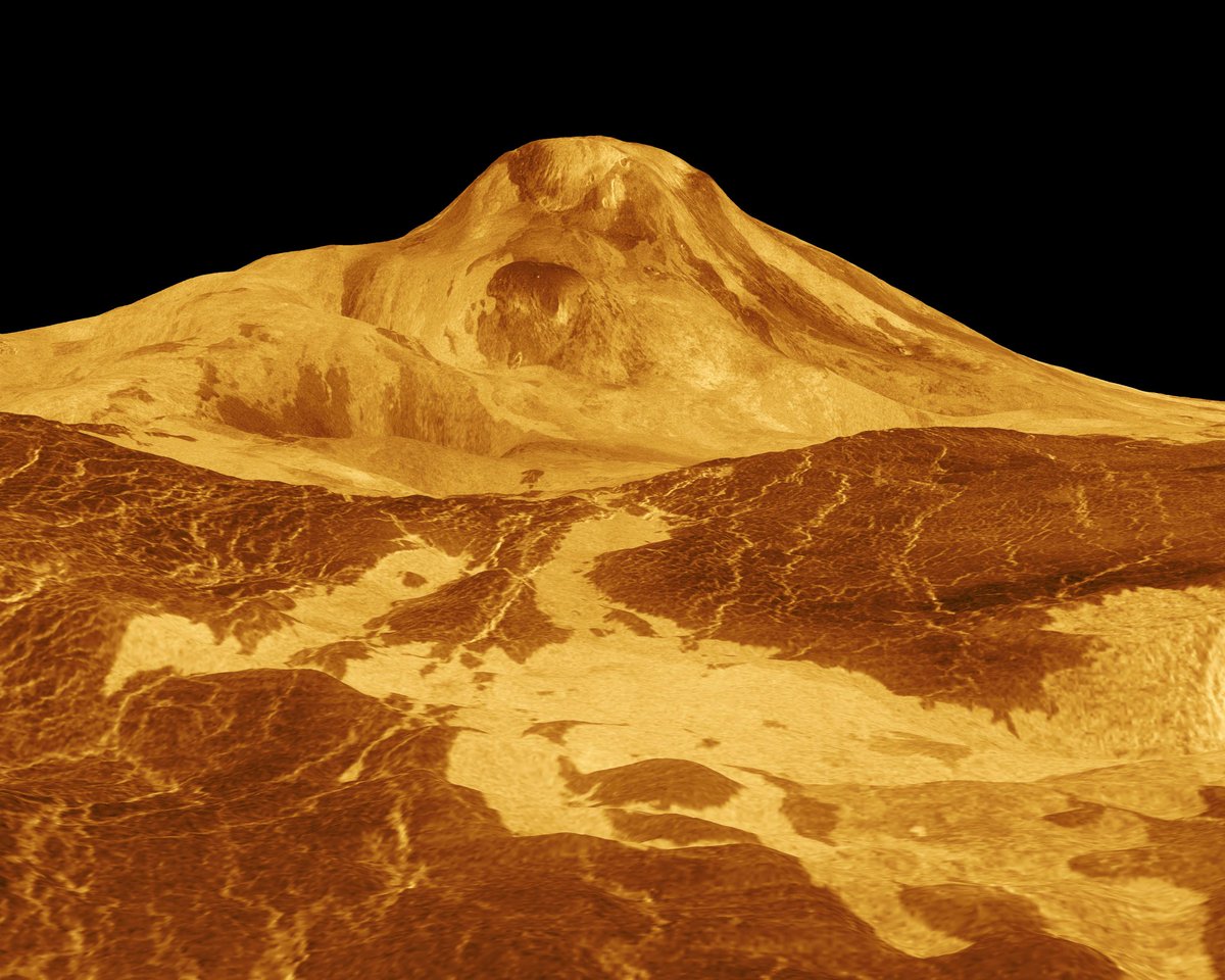 ValerioTede's tweet photo. Perspective view of the surface of Venus. The viewpoint is located 560 kilometers north of Maat Mons (an 8 kilometer high volcano). Lava flows extend for hundreds of kilometers across the fractured plains shown in the foreground, to the base of Maat Mons. #NASA #JetPropulsionLab https://t.co/BDjZInHeU2
