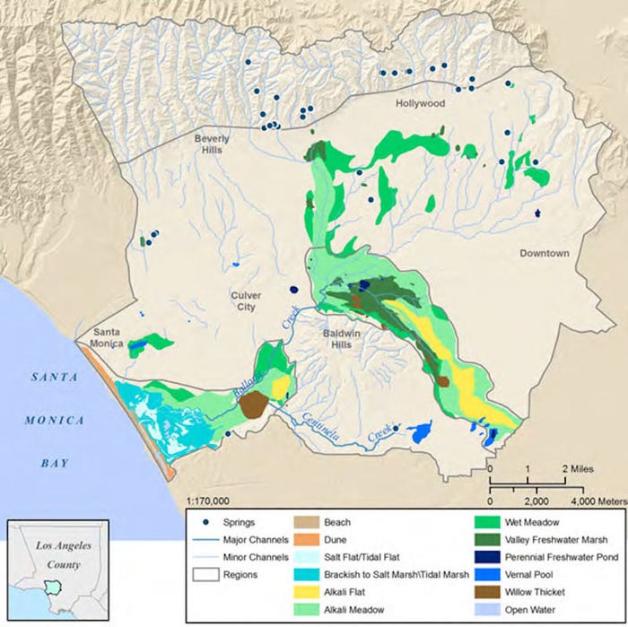 Madrona Marsh offers us a tiny glimpse of the now-gone La Cienega  #wetlands, another vernal marsh once located north & east of the  #BaldwinHills, which was connected to the Ballona Wetlands. A street name & scant creeks are all that remain of La Cienega today.  #WorldWetlandsDay