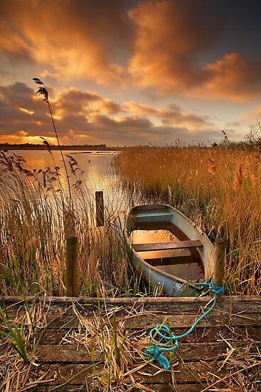 ninscrystal's tweet photo. "Some heights can't be reached 
               with the Mind,
       only through the Heart."
     
     🧡🕊 #wednesdaythought 🕊🧡 https://t.co/EvFsqGakjV