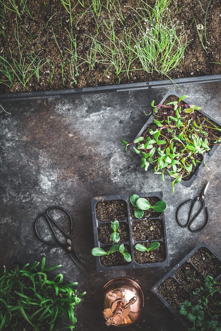 It is fertility season...sun in Aquarius moon in Scorpio tomorrow brings romance #love #romance #horoscopes #mooncycle