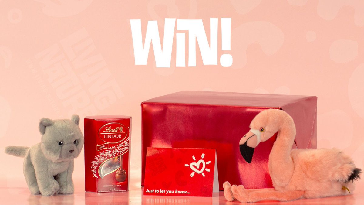 LivingNatureToy's tweet image. 💕VALENTINE'S GIVEAWAY💕 Follow &amp;amp; RT to WIN this gift for #ValentinesDay!
Don't want to risk missing out? Order your custom bundle with ANY soft toy 💝: living-nature.co.uk/?utm_source=Tw… ENDS 10th Feb. 
#WinitWednesday #Giveaway #Gift #ValentinesDayGift #ValentinesDay2021
