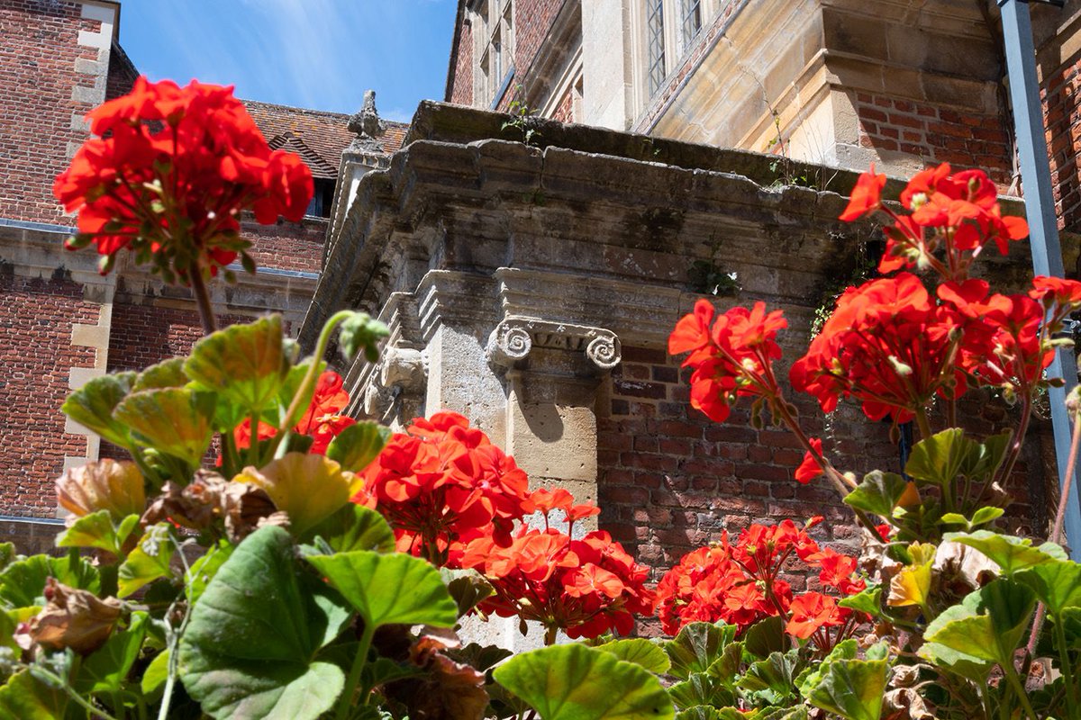 Shaw House tweet media