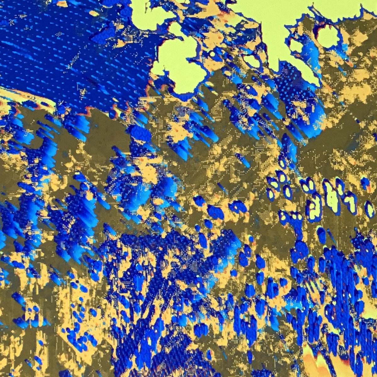 Nicolas Boillot tweet media