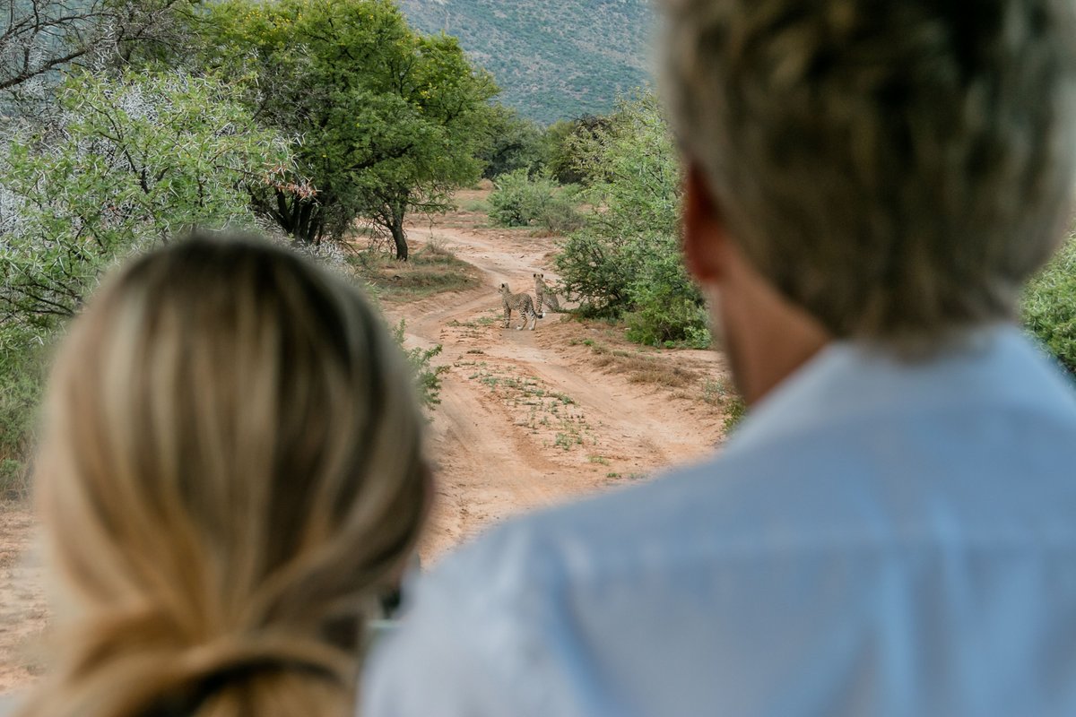 SamaraKaroo's tweet photo. From private drinks stops to intimate wildlife viewing and of course our #StarBed (currently with availability for Valentine’s Day ❣️💫), Samara offers a soulful safari escape for couples.
Learn more: https://t.co/wFh8X5sGfO https://t.co/NRjm0AWXf7