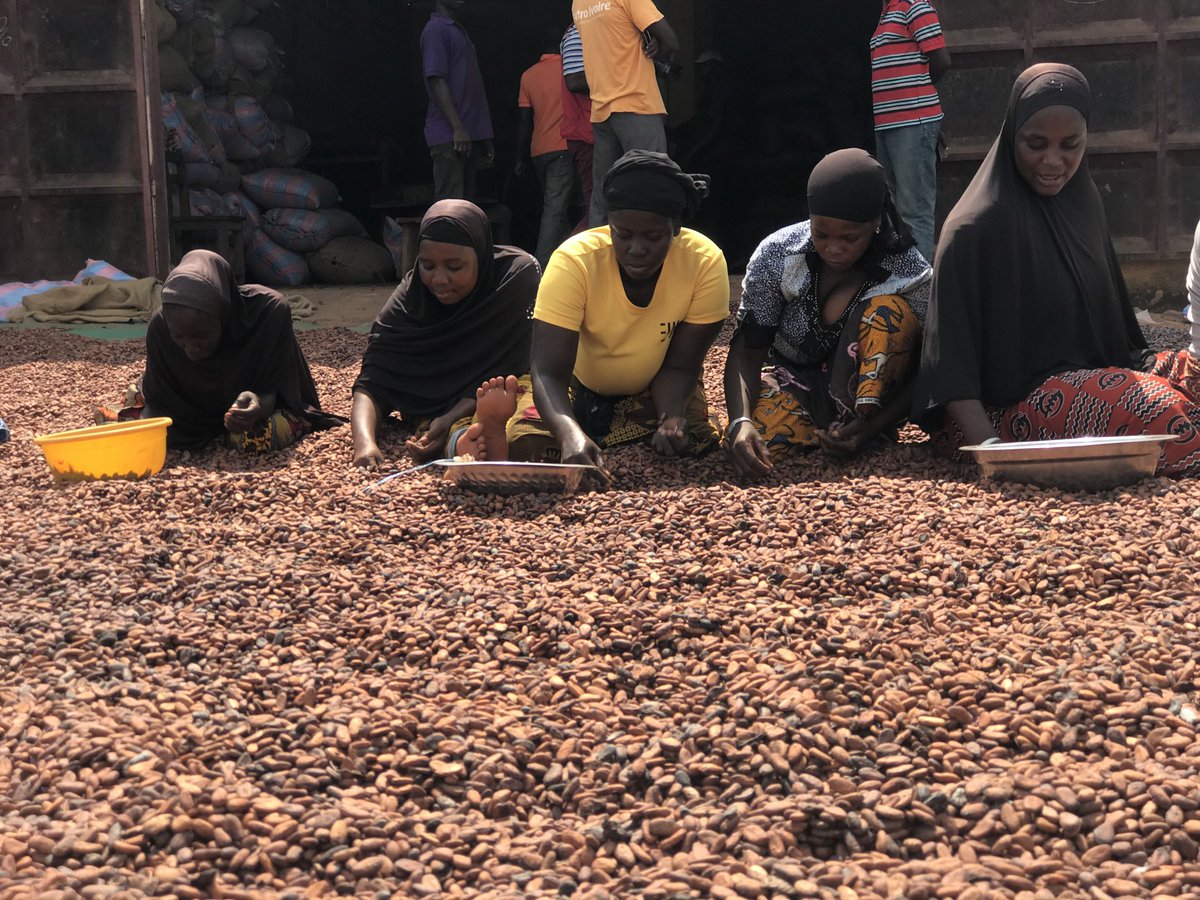 AngeAboa's tweet photo. If we want to put an end to #childlabor in cocoa , we must change our approach &amp; put #WOMEN at the heart of #initiatives and #projects . They are the true heads of families in #Africa.

#WomenEmpowerment
#WomenPower
#CocoaLover
#CocoaRevolution 
*photo: Jan. 6/8 2021 by Ange ABOA https://t.co/qpEoFUFhk9