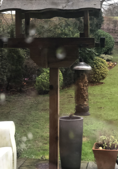 PipersPrep's tweet image. This industrious #PipersYear6 spent a long time perfecting an excellent bird cake recipe and then wrote a conclusion about how it went. She also provided very nourishing food for the birds in her garden. #PipersForest #PipersPrep