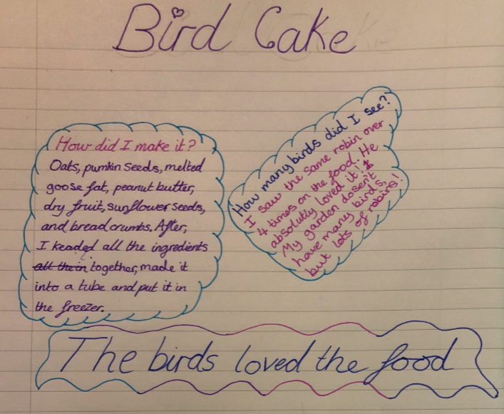 PipersPrep's tweet image. This industrious #PipersYear6 spent a long time perfecting an excellent bird cake recipe and then wrote a conclusion about how it went. She also provided very nourishing food for the birds in her garden. #PipersForest #PipersPrep