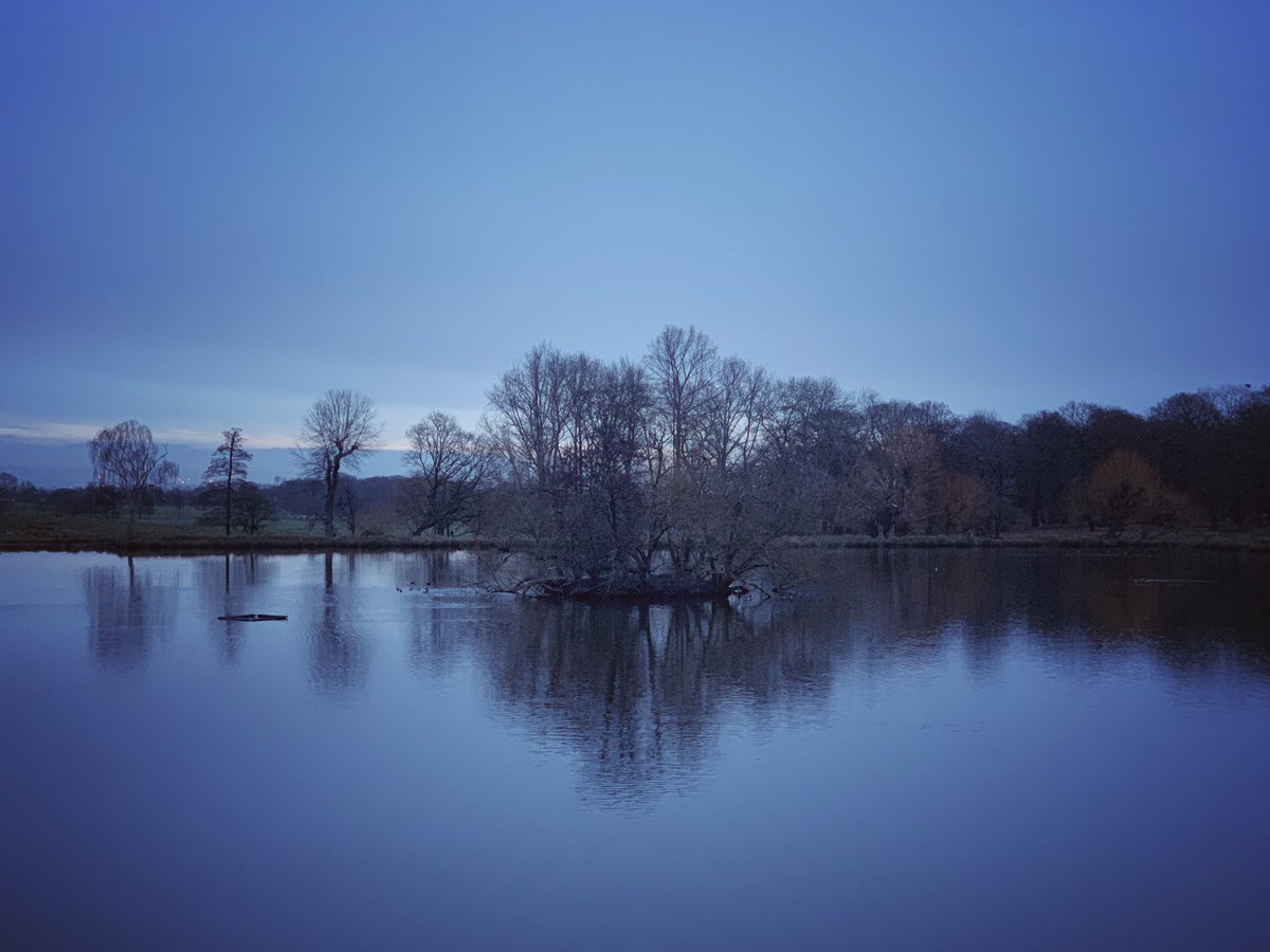 PicsPutney's tweet photo. Good morning ! #RichmondPark #staylocal #nature #NaturePhotography #London #royalparks https://t.co/ceNjtJPx6B