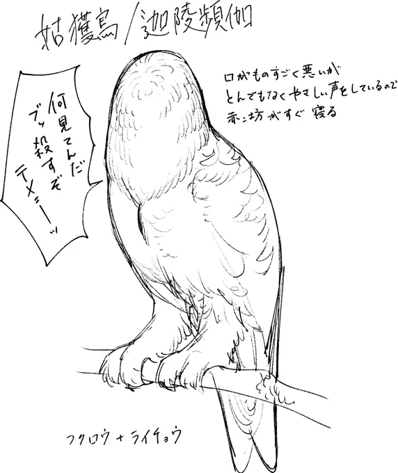 人間の赤子をさらって食ってたところをマダラにスカウト(調伏)され無縁地獄で子守の迦陵頻伽になってしまった姑獲鳥のラフです 