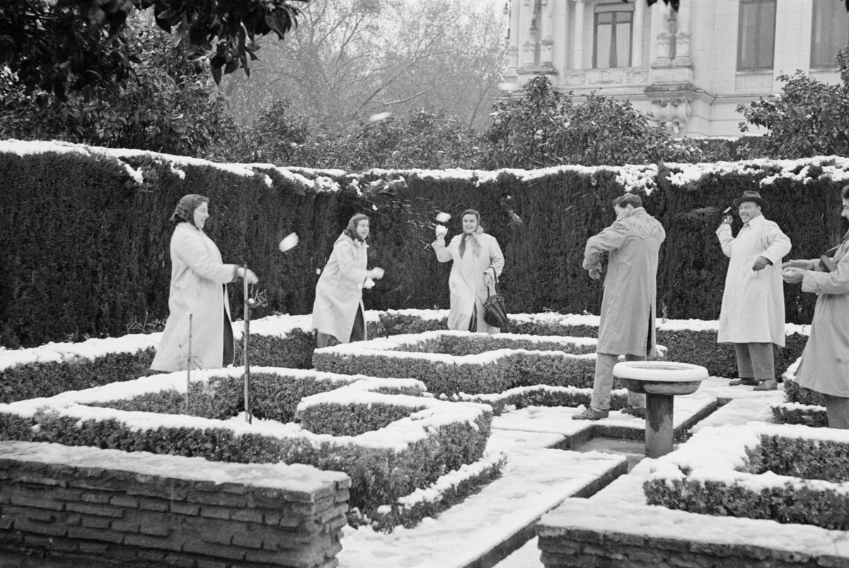  #Hilo | 03/02/1954, Málaga.Imágenes:  @InfoUMA