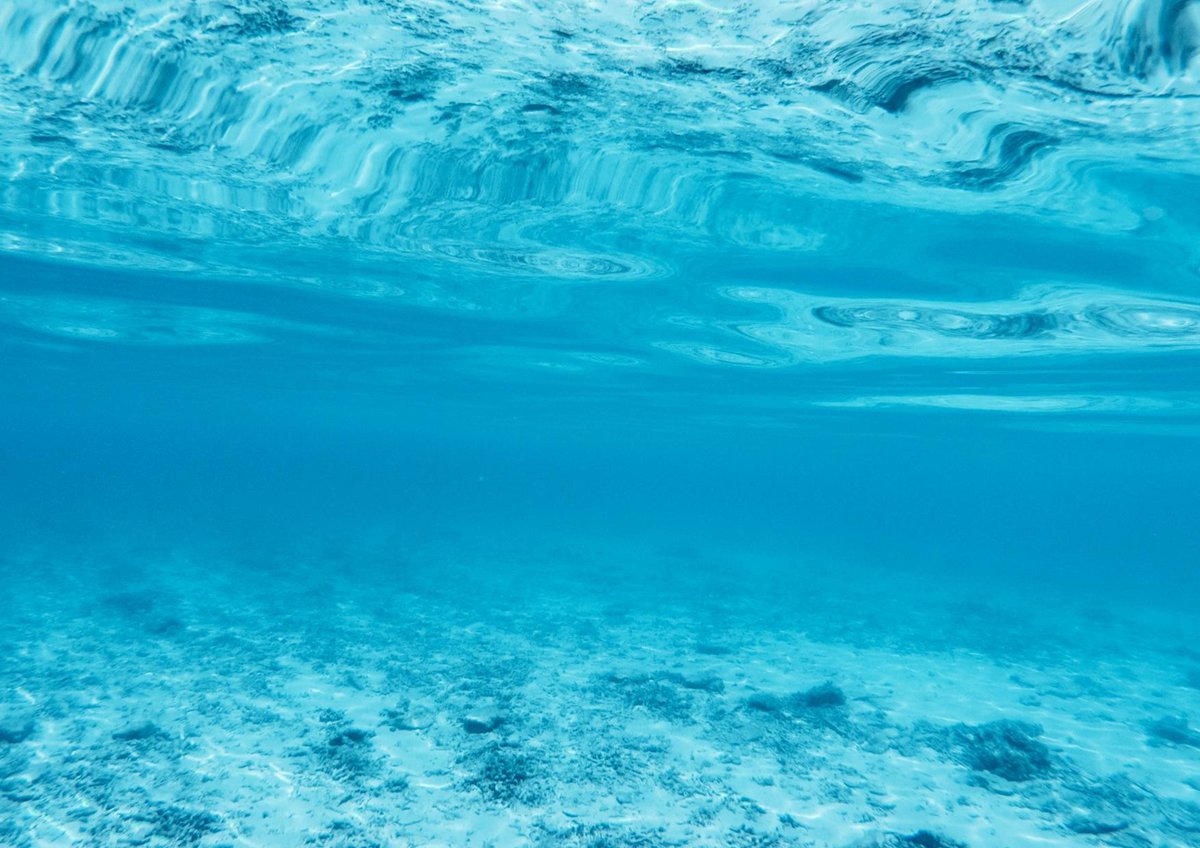 🤝 Acord de col·laboració entre CIT UPC i Seastainable Ventures, una plataforma venture builder especialitzada en la creació, incubació, i acceleració de projectes empresarials en el camp de l’economia blava 🌊 upc-cit.com/3r1ukvh

#TecnologiaUPC