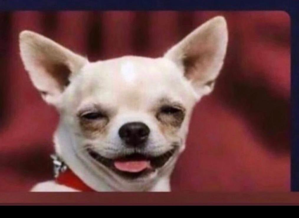 KSBTECH1's tweet photo. I will disvirgin  my self wen I got married  for now I’m just having sex 🌚😎 https://t.co/KAtRkW470y