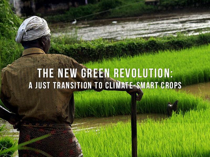 orfonline's tweet photo. .@riakasliwal explores a framework for climate-smart #agriculture that will not only be feasible for small #farmers but will provide them with stable incomes: https://t.co/1dXKEbuoqY https://t.co/LnBOY44tkf