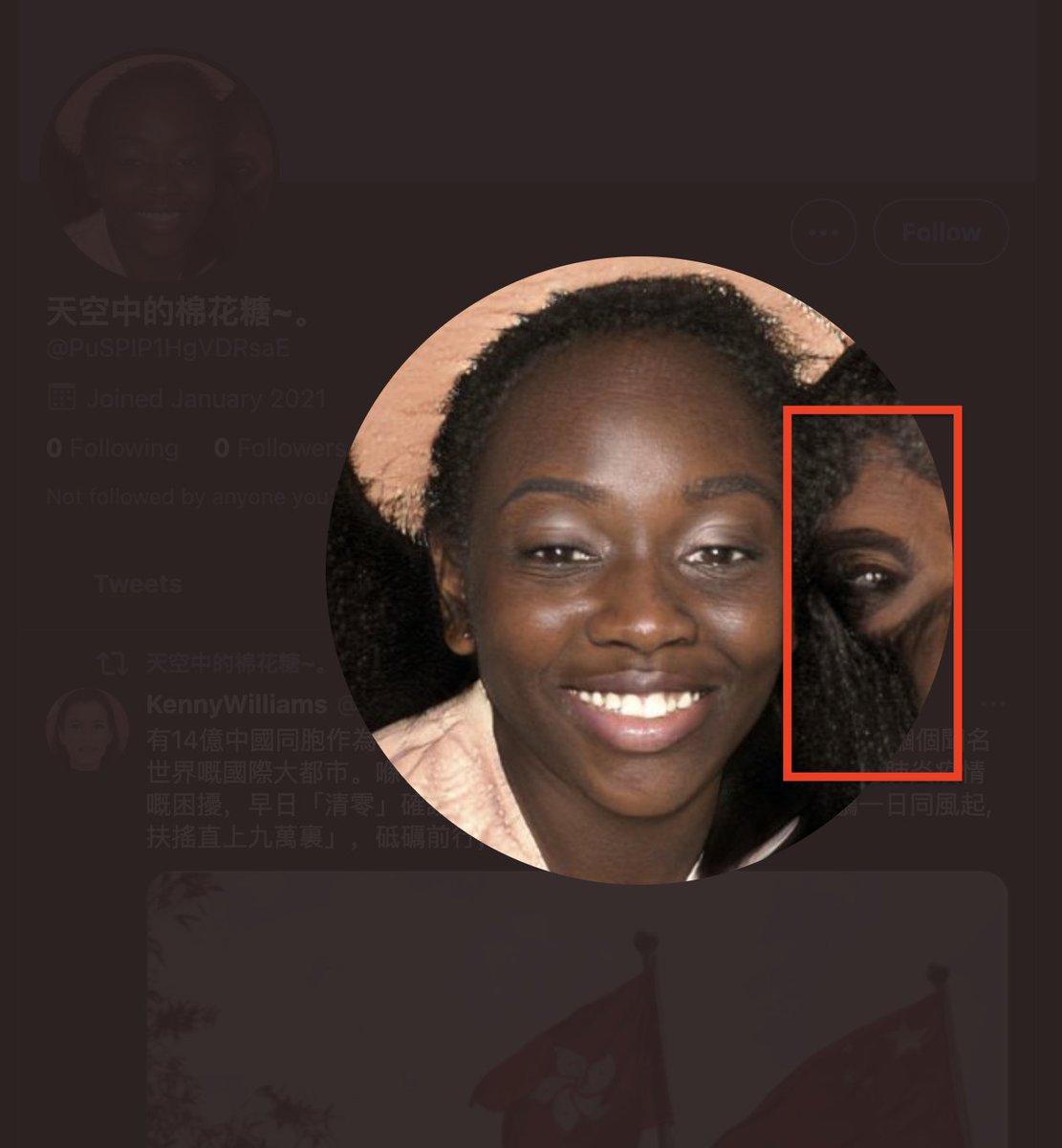 Going through some of the profile pictures we can see the sure signs that they are GAN-generated images. For instance, check out the blurring/irregularities in these. More examples of these can be found at  https://thispersondoesnotexist.com/ 