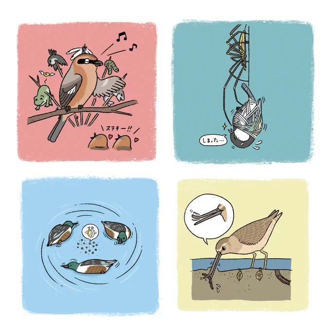 ノジュール(JTBパブリッシング)2021年2月号の特集「都会のバードウォッチング」のイラストを数点担当いたしました。『鳥類学者だからって、鳥が好きだと思うなよ。』等で有名な川上和人先生の解説と合わせてご覧ください。https://t.co/LnbjiY0xZA 