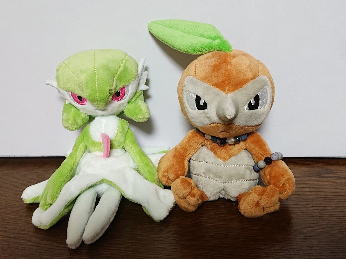 どんちゃん 無事に帰宅しました というわけで 本日お迎えした子達をお披露目です 悩みに悩んで 大本命のコノハナと サーナイト コノハナ ポケモン剣で使っているうちにだんだん好きになったポケモンです これからたくさん連れて歩きたいです