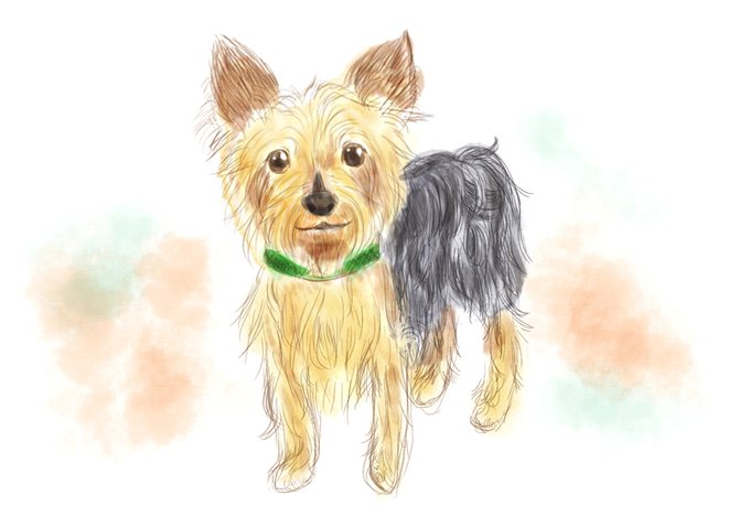 捨て犬のtwitterイラスト検索結果