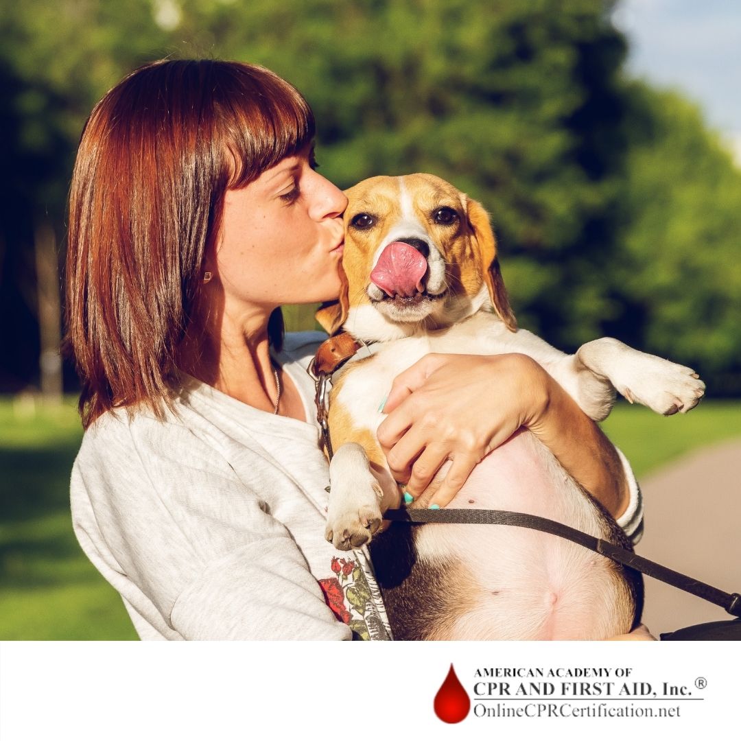 AACPRFirstAid's tweet photo. “The special bond between dogs and their owners may, at times, be a bit too special . . . According to this research, the owners of dogs with diabetes are more likely to acquire type 2 diabetes themselves.”

Read more: https://t.co/lgf6KwCrnH 

#DogLovers #Diabetes https://t.co/8Np7F3VeCX