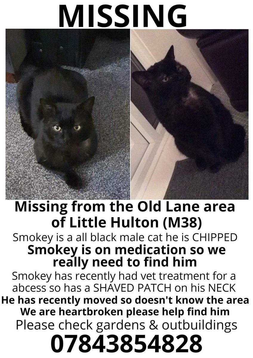 🔵#Urgent Requires #Medication🔵

Smokey is #Missing from #OldLane #LittleHulton #Manchester #M38 area, since 27/01/2021. Smokey has a shaved patch on his neck from veterinary treatment for an abcess. He recently moved to area so is not familiar with it. 

m.facebook.com/story.php?stor…