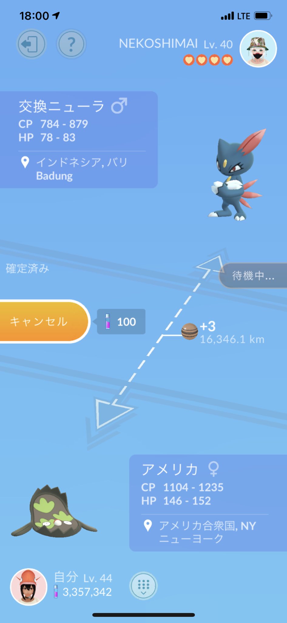 パイロットメダル Twitter Search Twitter