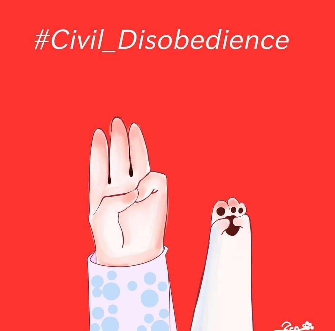 #CivilDisobedienceMovement
#JusticeForMyanmar