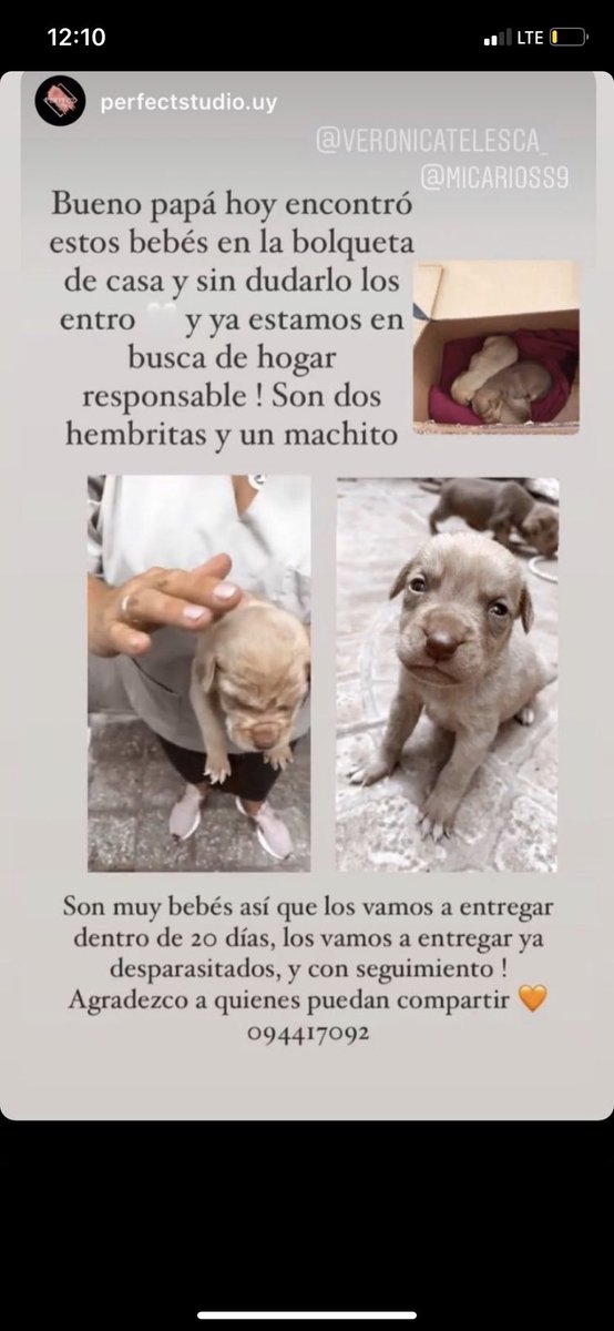 mdelsoll's tweet photo. https://t.co/wzVwv32YIR