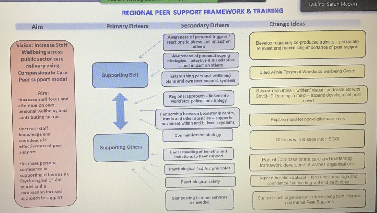 Important #HSCQI learning session underway with @MeekinSarah @belfasttrust sharing the importance of our own selfcare to help us support our peers. Peer support so important and useful at this time. Being there for each other. #compassionatecare. #staffpsychologicalwellbeing