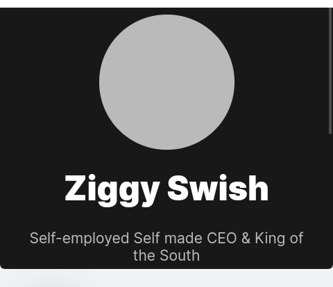 Ziggy Swish (@ZiiggySwiish) / Posts / X