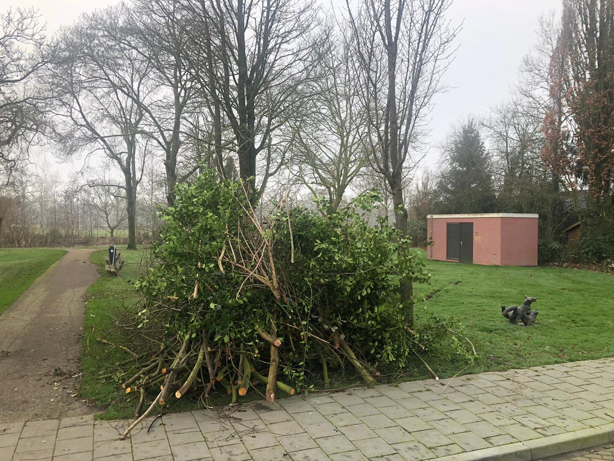 Begin 2021 snoeit <a href="/SIGHTLS/">SIGHT Landscaping</a> in opdracht van de <a href="/Gem_Leusden/">Gemeente Leusden</a> de bosplantsoenen en sierheesters. 
In het voorjaar zullen alle planten weer uitlopen, zo houden we de variatie en de kwaliteit van de beplanting in stand. 
Het snoeiafval wordt 1 x in de week afgevoerd.