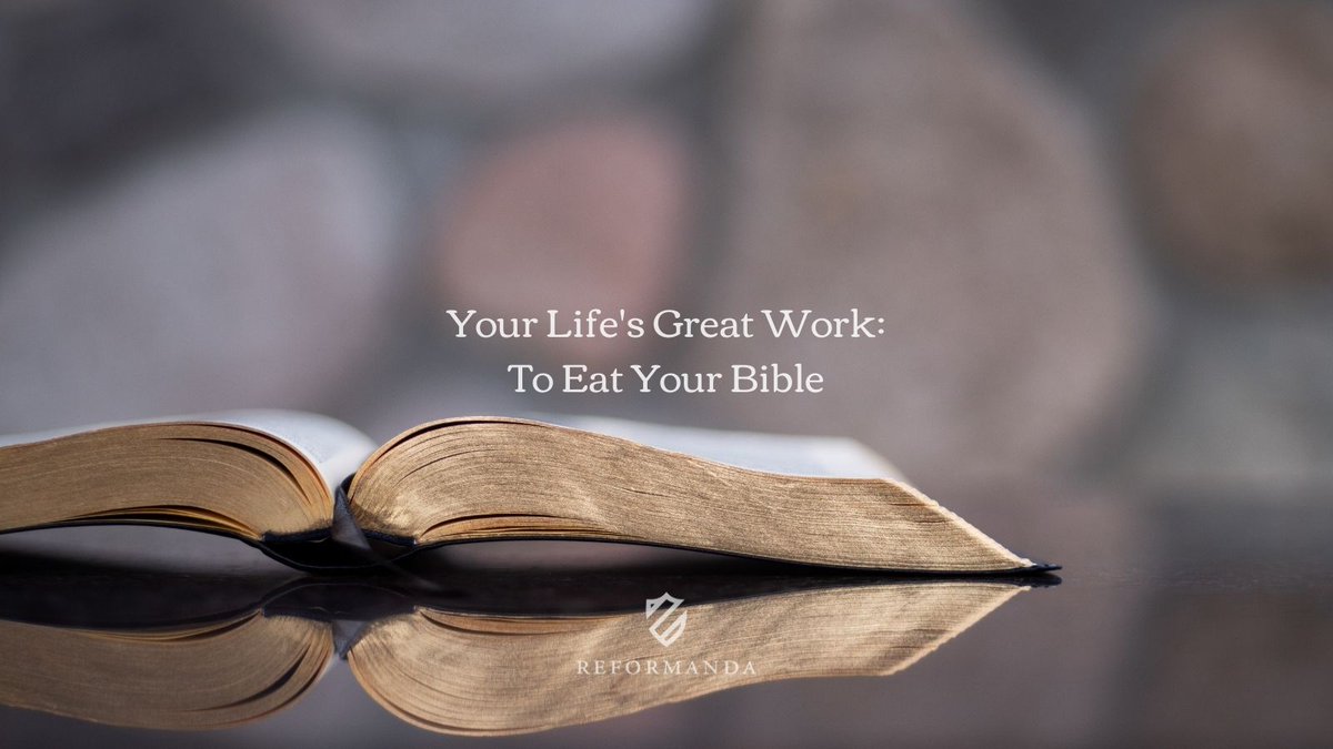 ReformandaMin's tweet image. New today from @NatePickowicz: "Your Life's Great Work: To Eat Your Bible"

Read here: reformandamin.org/articles1/your…

Order Nate's brand-new book here: amazon.com/How-Eat-Your-B…